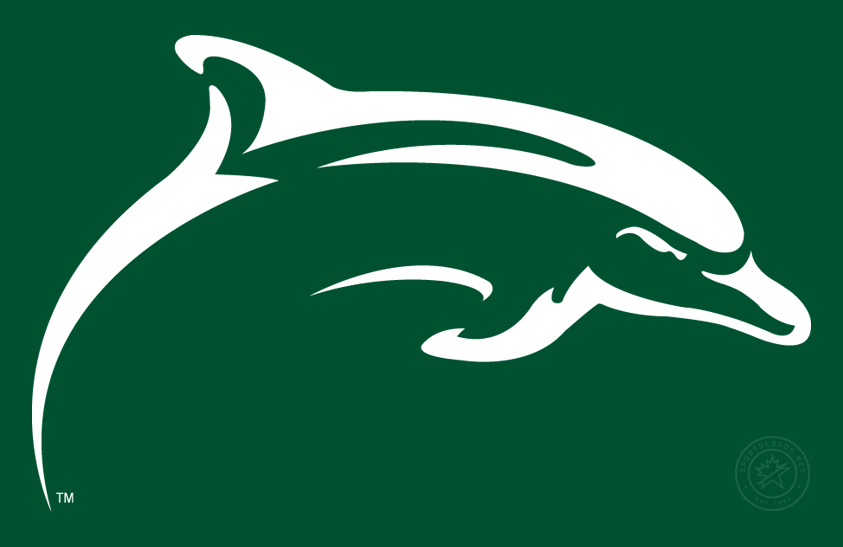 Le Moyne Dolphins 2008-Pres Secondary Logo v4 diy DTF decal sticker